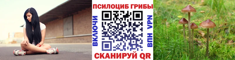 Псилоцибиновые грибы Cubensis Кировград